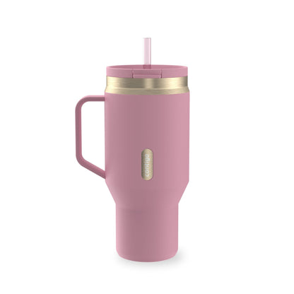 Contigo 30 oz Stainless Steel Water Bottle Tumbler with Straw – Leak-Proof Insulated Travel Mug, Reusable Water Bottle, Side Handle, Black/Bronze