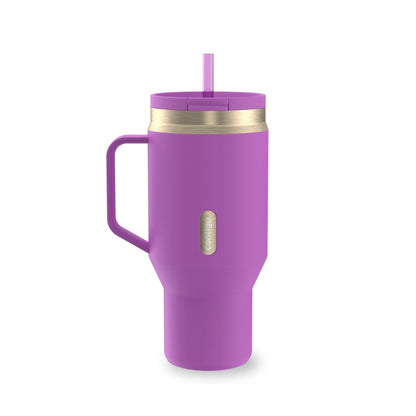 Contigo 30 oz Stainless Steel Water Bottle Tumbler with Straw – Leak-Proof Insulated Travel Mug, Reusable Water Bottle, Side Handle, Black/Bronze